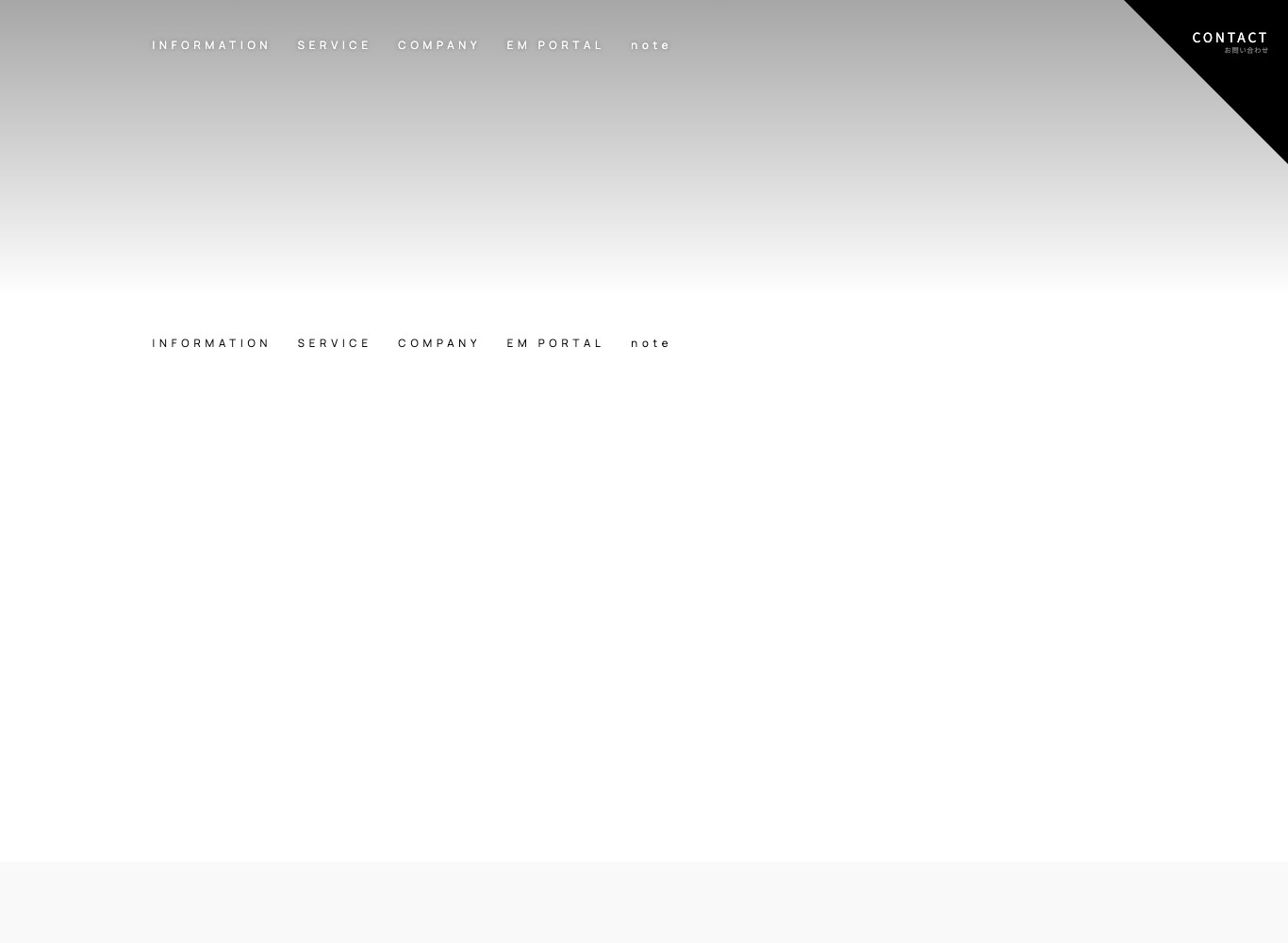レディーバードキャピタル公式サイトのエミンユルマズ代表プロフィール